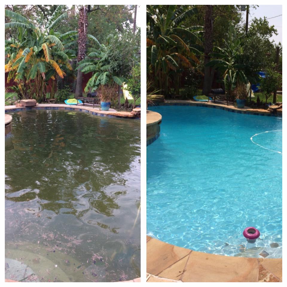 Paredes Pressure Washing Image